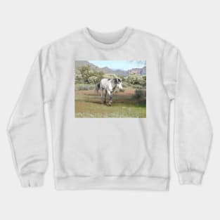 Wild horses, wildlife, gifts, Arizona, Wild Spirit Crewneck Sweatshirt